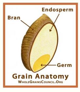 What IS a whole grain? Examples: Barley Wheat Wild rice Quinoa Oats Rye Farro Wheat Corn (including popcorn!
