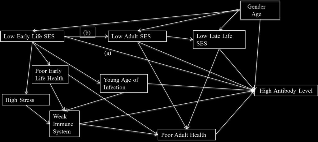 Early life may be a critical period where lower SES is associated with poorer later life immunological control of persistent pathogens, independent of later life SES exposures.