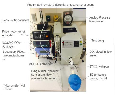Lung Models Premature Term Neonate Neonate (4.