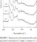 Diapositive 17 Raman spectroscopy of human