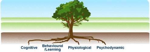 PSYCHOLOGY S ROOTS DEFINITIONS AND APPROACHES Psychology s Roots - originally defined