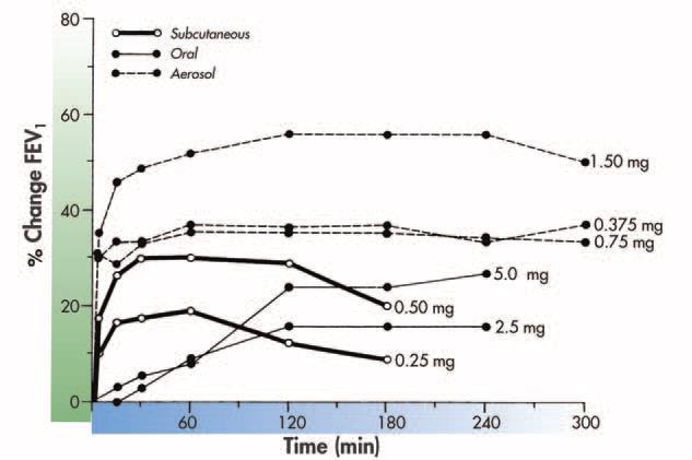 INHALATION Changes in FEV1 for three different routes of administration with terbutaline.