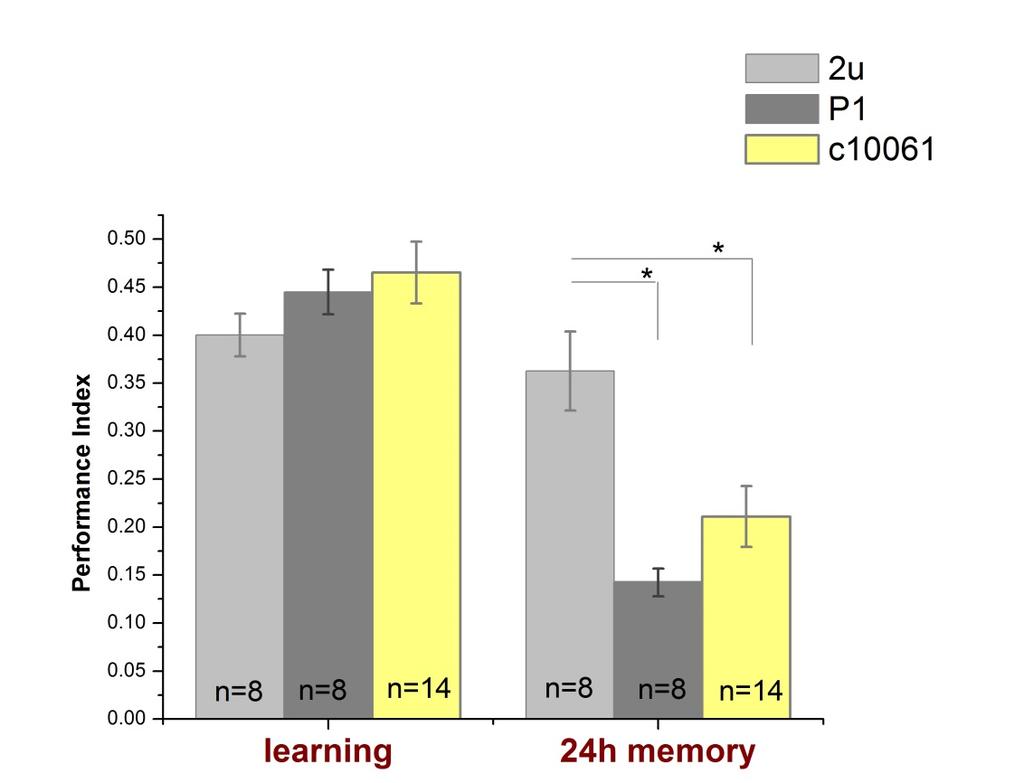 Introduction We have reported that NF1 affects both immediate memory and long-term memory (LTM), but through different mechanisms in Drosophila (Ho et al., 2007).