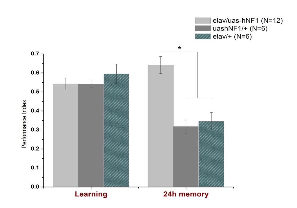 importantly, appetitive learning and shortterm memory were normal in all NF1 mutant alleles while only LTM was specifically impaired.