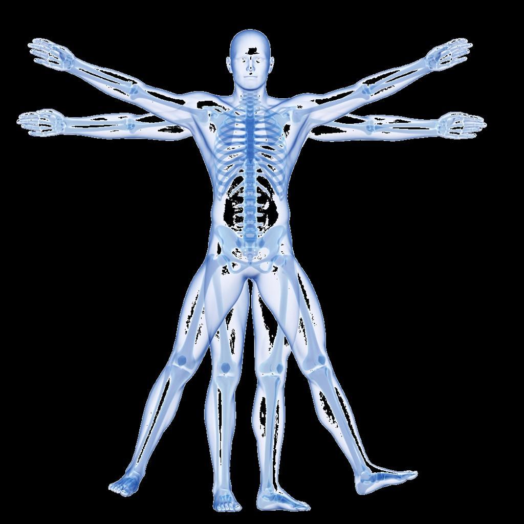 Extra-Intestinal Manifestations Bones Arthritis of hands and feet, lower spine (e.g.