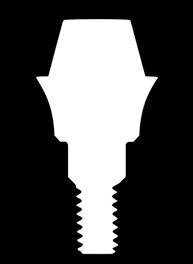 screw (Angled Abutment) female