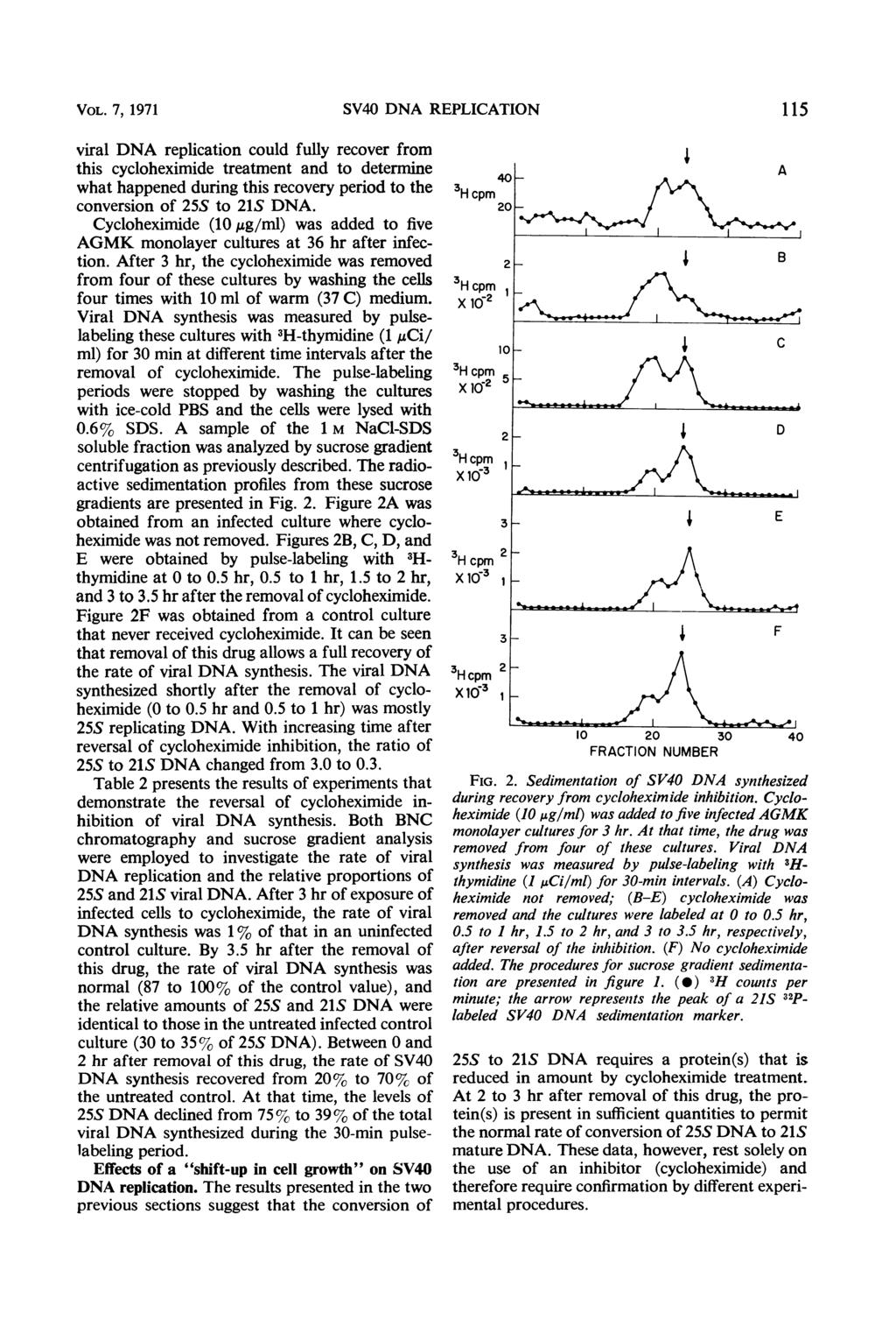 VOL. 7, 1971 SV40 DNA REPLICATION viral DNA replication could fully recover from this cycloheximide treatment and to determine what happened during this recovery period to the conversion of 255 to