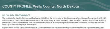 Relevance or Fitness for Purpose Example diabetes in Wells County, ND http://www.healthdata.org/sites/default/files/files/county_profil es/us/2015/county_report_wells_county_north_dakota.