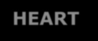 HEART ANATOMY (EXTERNAL