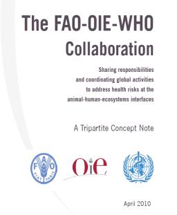 OFFLU WHO agreement Every six months OFFLU gather and analyse information on animal influenza viruses of public health concern and share that information during the WHO Vaccine Composition Meetings