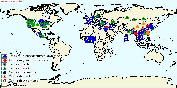 HPAI outbreak situation (Jan 2015 August 2016) World