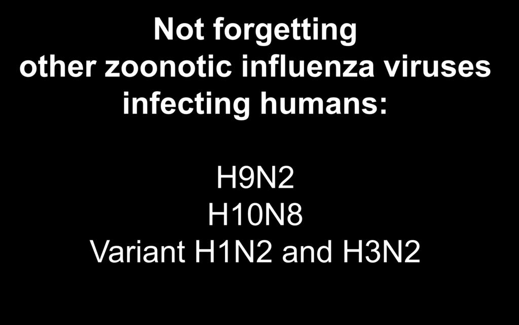 Not forgetting other zoonotic influenza viruses