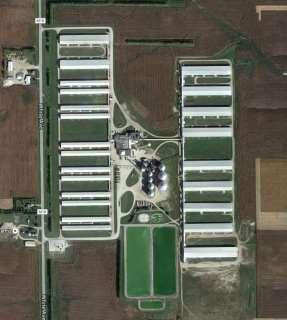 Layer facility with approximately 4 million hens Google Earth View Egg