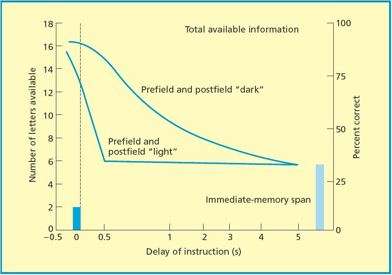 + Iconic Memory Estimated number of letters available using the partial report method, as a function of recall delay.