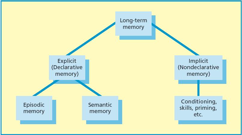 + Long Term Memory Components of long-term