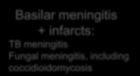 infarcts: TB meningitis
