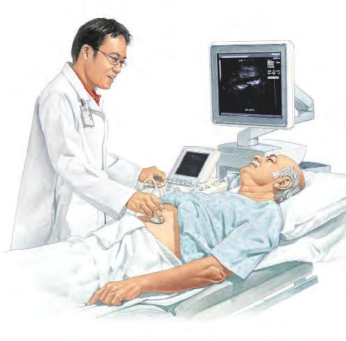 1 2 This duplex ultrasound scan