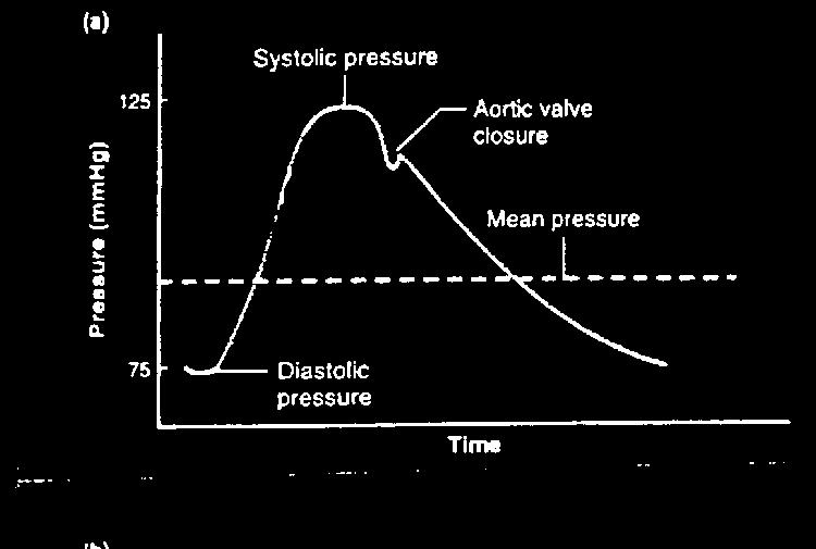 Men rteril pressure 2 MAP 1 P + s P 3 3 d MAP = men rteril pressure, P