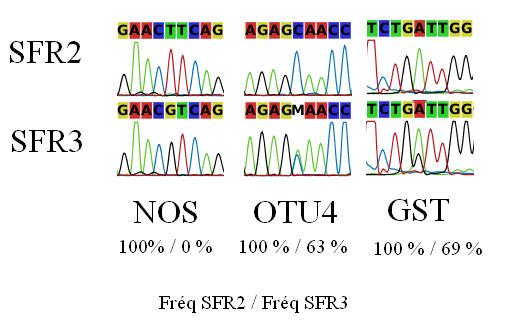 Experimental valida:on * * * SFR2 SFR3 Nitric oxide synthase SFR2: 0% / SFR3: 100%