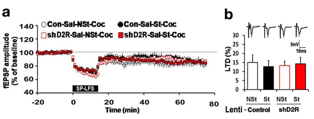 Supplementay Figure S5. Effect of chronic stress on LTD induction in the NAc of saline pretreated mice injected with Lenti-shD2R or Lenti-control into the NAc core.