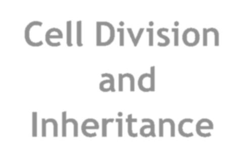 Cell Division and Inheritance Continuing life relies on reproduction Individual organism replacing dead or damaged cells Species making more of same species Reproduction Cells divide,