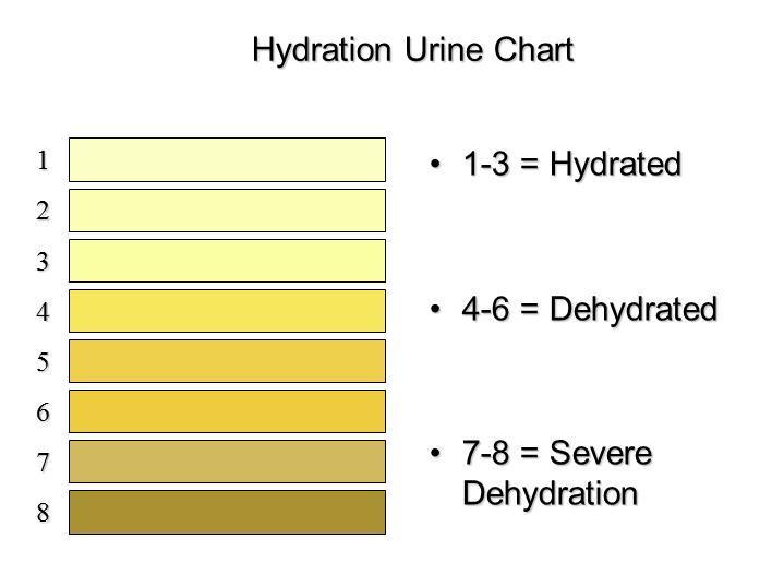 Dehydration: In order to stay properly hydrated, experts recommend that individuals drink eight, 8-ounce glasses of water a day, which is approximately equivalent to about 2 litres of water.