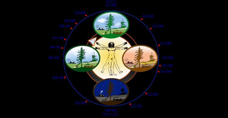 Overview of biological circadian