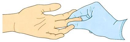 Collecting Specimen Finger Site Selection Adults and Children: Use middle or ring fingertips Palm