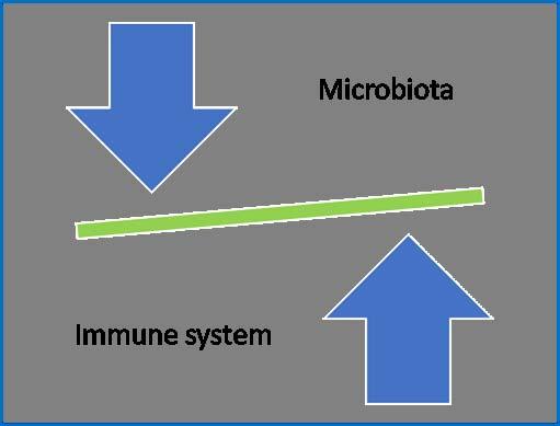 AGP : Antibiotic or Anti-Inflammatory Activity According to Costa et al.