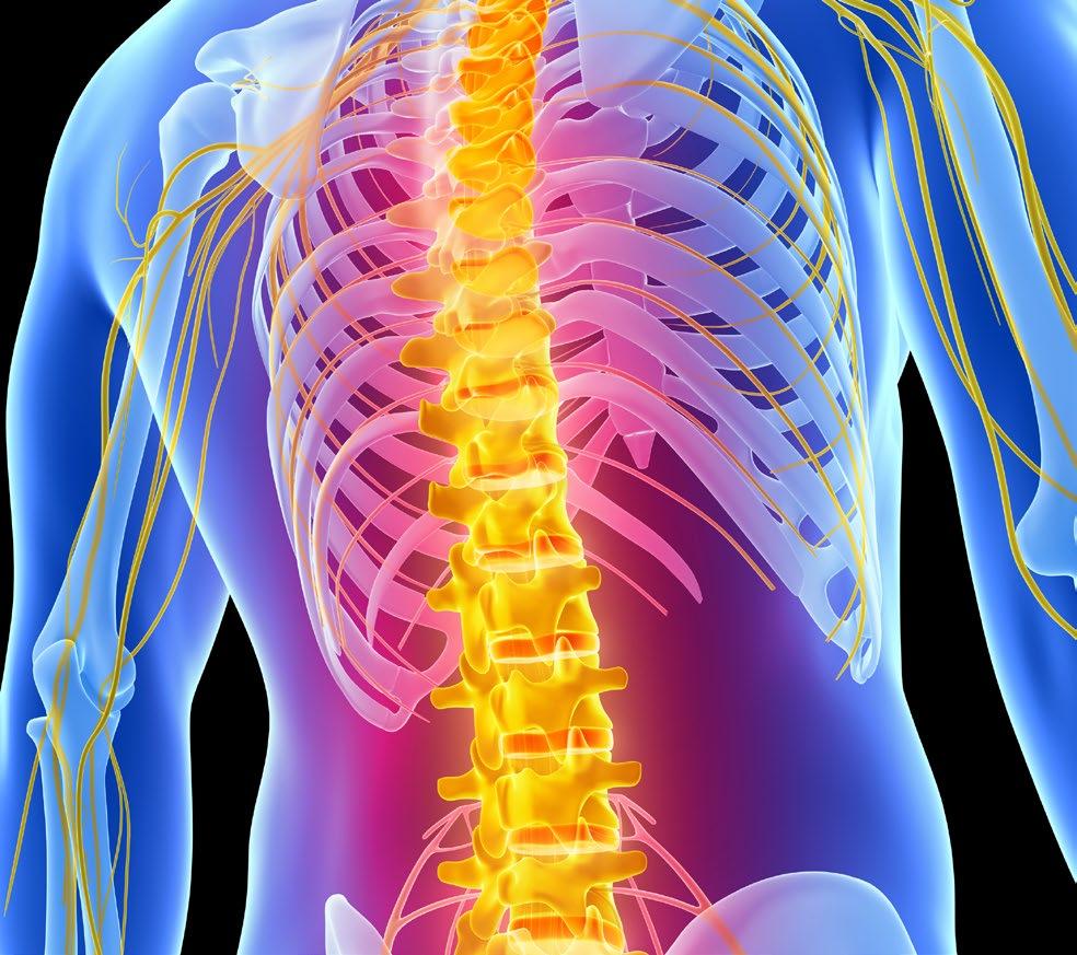 This course will help providers identify the importance of triaging red flags in the evaluation of spinal conditions.