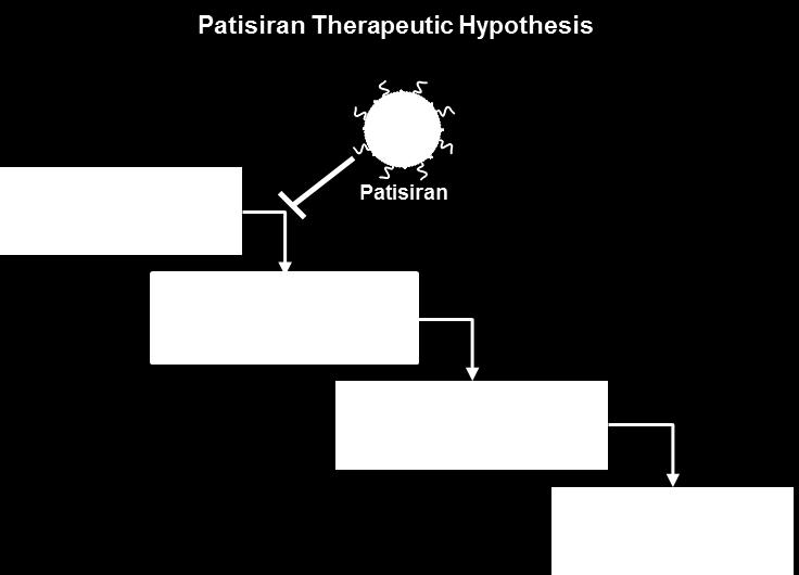 Hereditary Transthyretin-Mediated (hattr) Amyloidosis Disease Overview and Introduction to Patisiran, an Investigational RNAi Therapeutic hattr Amyloidosis Rare, inherited, rapidly progressive,