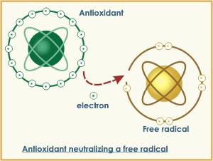 Anti-Oxidants Free radicals electrons &
