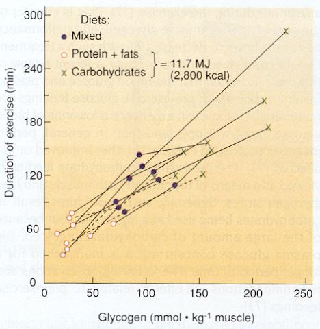 Carbohydrates and Exercise Glycogen