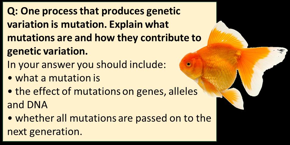 Mutation inherited and non-inherited A mutation is a change in genetic material / DNA / genes of an organism.