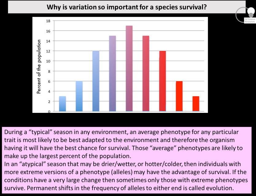 Define variation and link to sexual reproduction in a species As the environment changes some individuals may not survive.