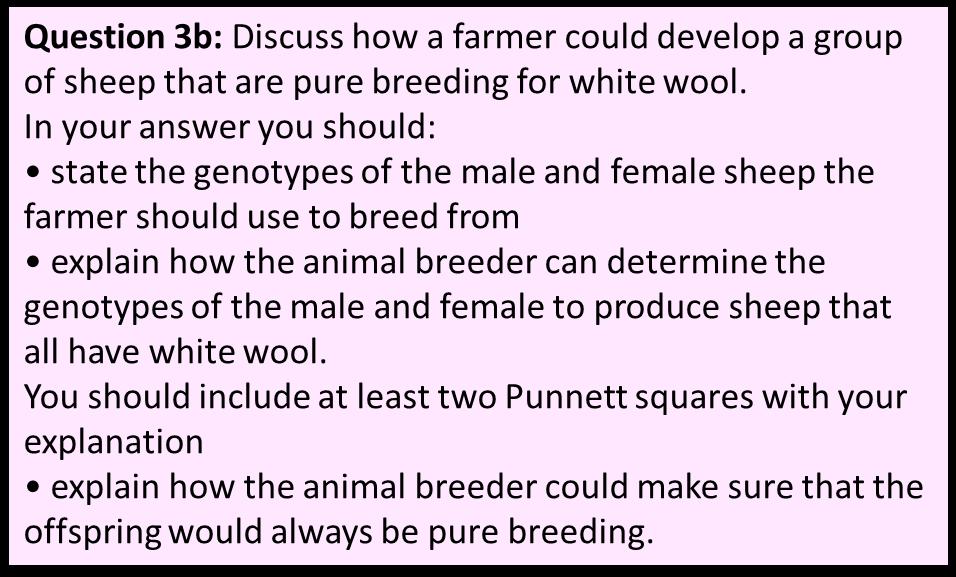 Test crosses To breed a group of white sheep, a breeder should use sheep that are both AA (pure breeding).