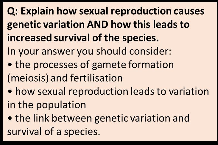 Sources of variation Meiosis produces gametes which have half the normal number of chromosomes as body cells. In fertilisation random male and female gametes join and produce a unique zygote.