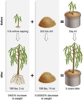 Roots, through mycorrhizae and root hairs, absorb water and minerals from the soil. Carbon dioxide diffuses into leaves from the surrounding air through stomata. Ignored the 2 ounce difference!