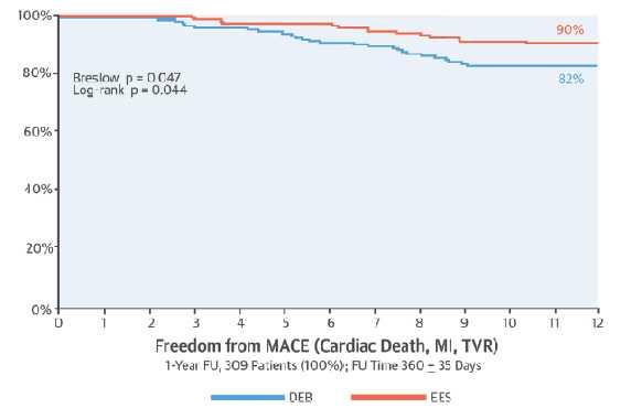 At the 1-year clinical follow-up, the main clinical outcome measure was significantly reduced in the EES arm (10% vs.