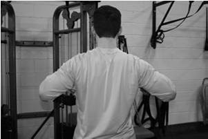 Biceps dominance Torso rotation Excess Spinal