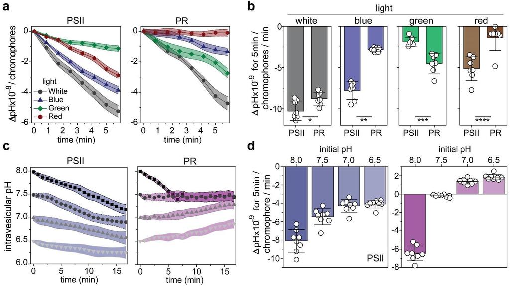 Supplementary Figure 10 Wavelength- and ph-dependent intravesicular ph of PSII and PR reconstituted giant proteoliposomes (a, b) Intravesicular ph levels (a) and rate of decrease in intravesicular ph