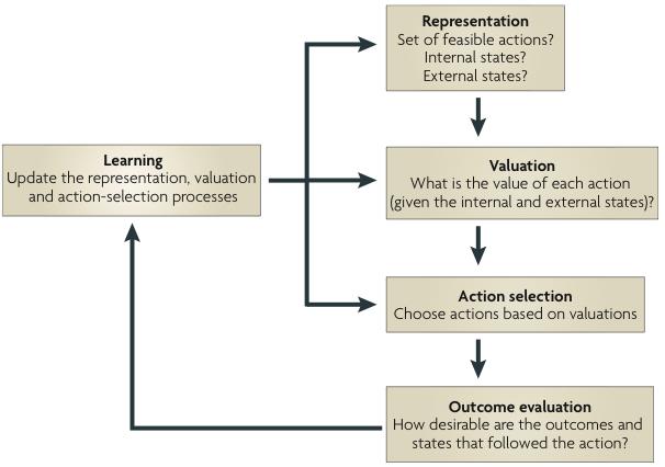 Decision-Making related Value Signals Behavioral Decision-Making Neuroeconomics Predicted Utility