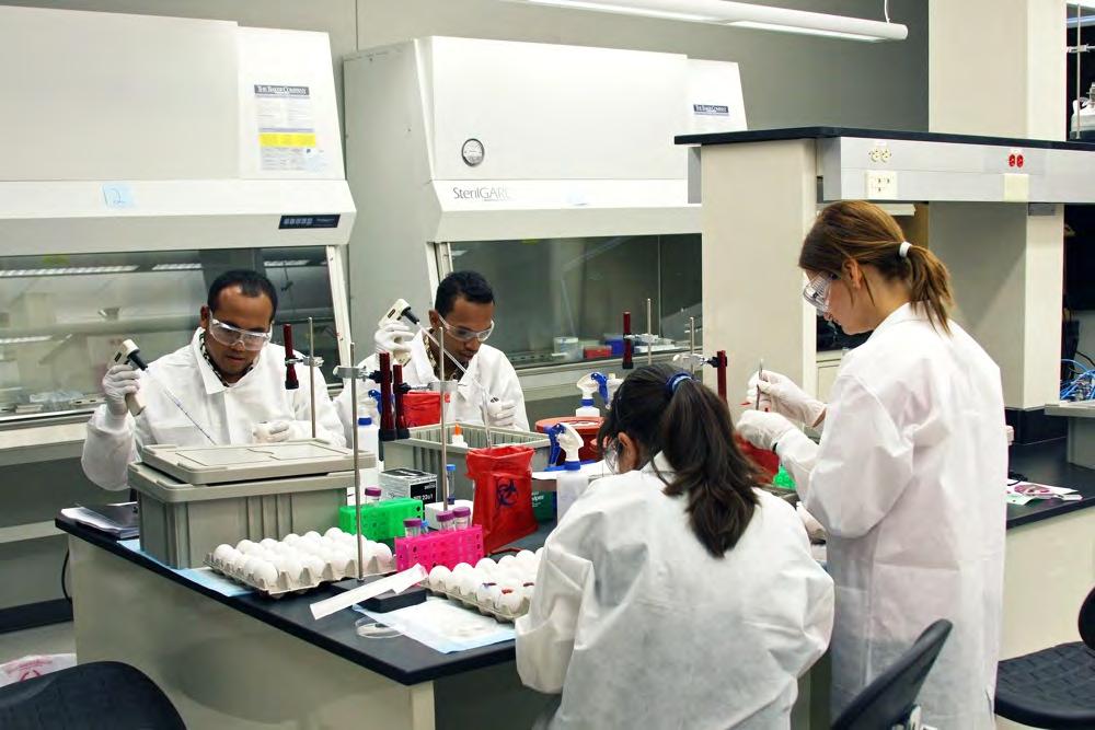 Regulatory issues focus Hands-on laboratory exercises Use