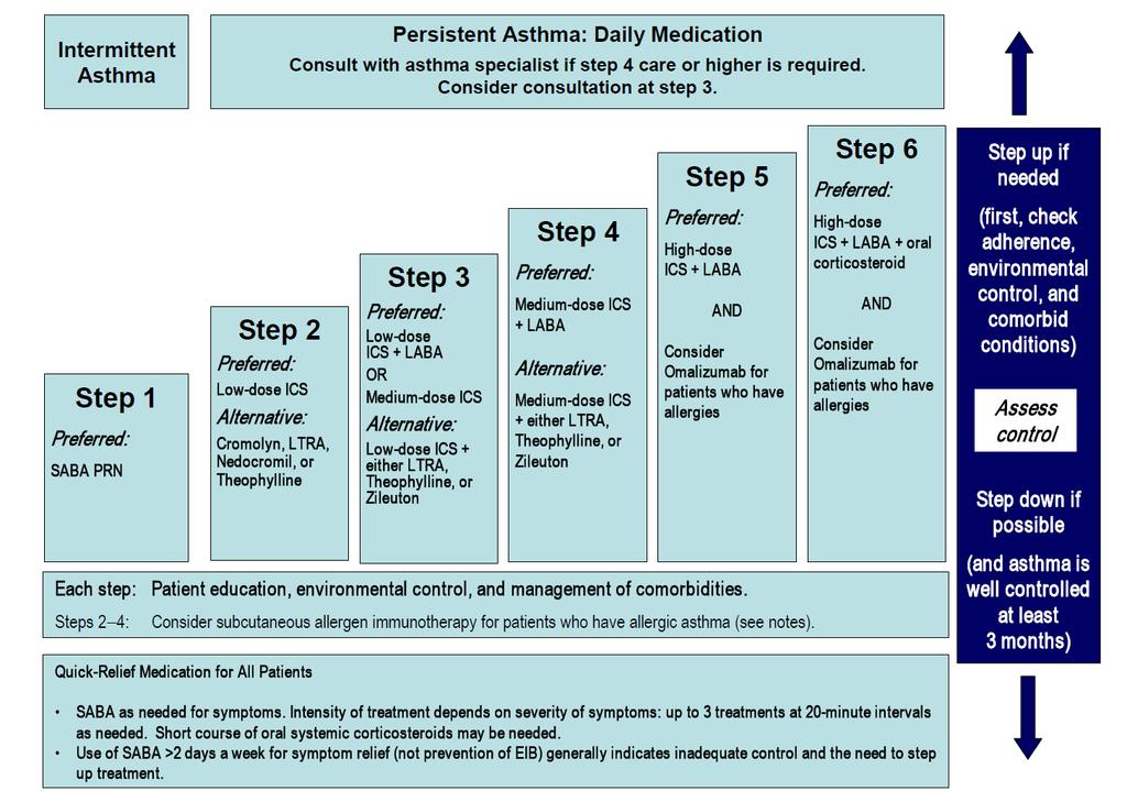 Asthma Pharmacotherapy Guidelines for the Diagnosis and