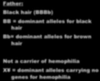 Physical characteristics of parents Father: Black hair (BBBb)