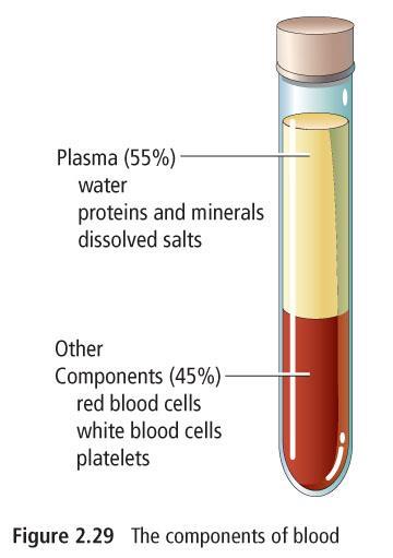 The 40 to 50% of the blood volume is red blood cells (RBC) or