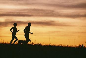 Fartlek training can require different terrains and specialist equipment, such as a harness or weights. 1.