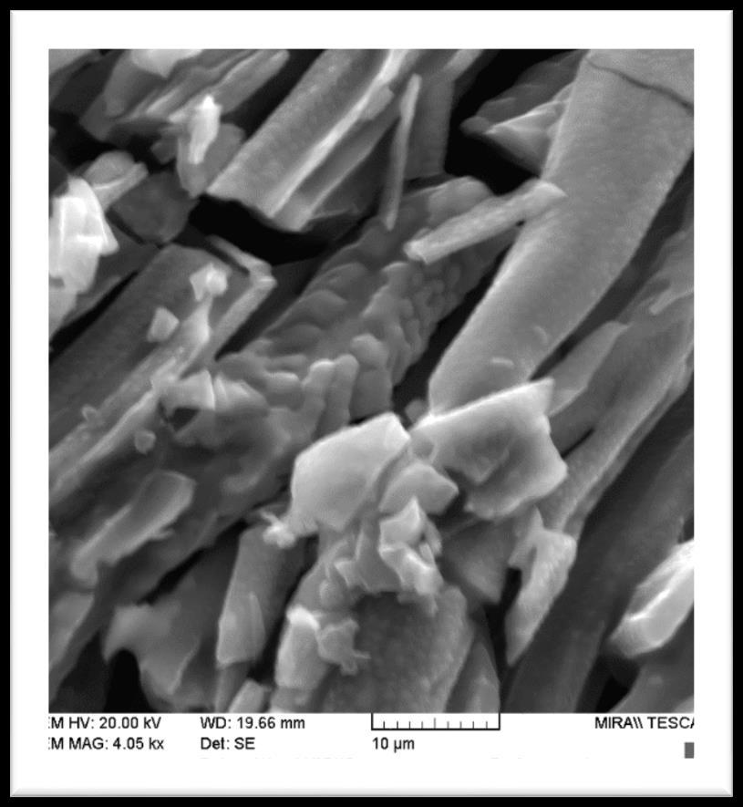 CHAR RESIDUE AFTER TG (PA 50 %, 1 BILAYER) SEM image of the char residue after heating in TGA The intumescent N-P flame