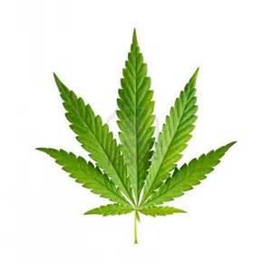 Medical Marijuana Responsible for Traffic Fatalities Alfred Crancer, B.S., M.A.; Phillip Dr