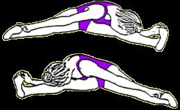 To end: Inhale center, hold the breath, apply root lock and then relax. Bring the legs together and bounce them up and down a few times to relax the muscles and massage them.
